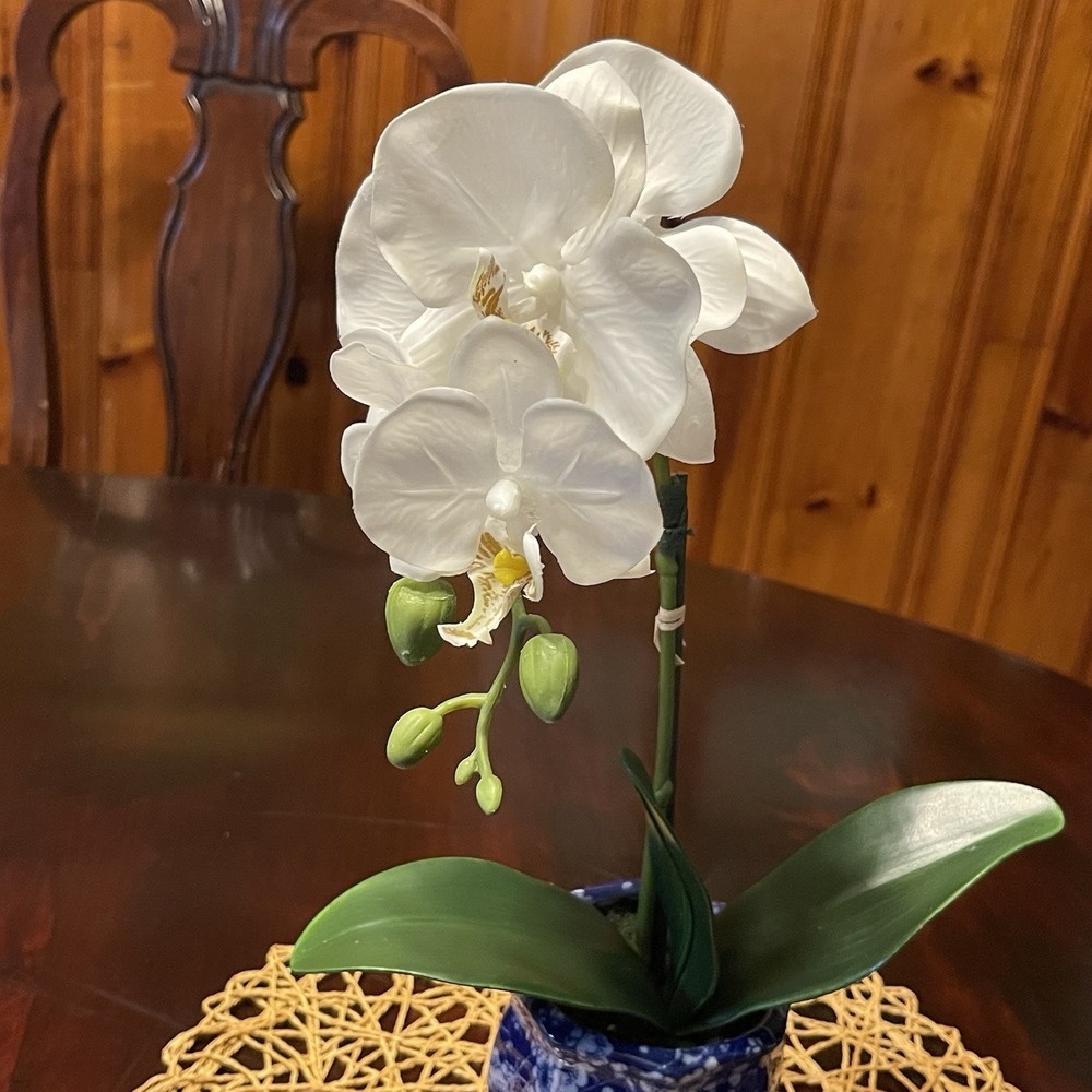 Faux White Phalaenopsis Orchid Silk Plant Blue ,Real Touch - Picture 2 of 8